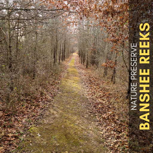Banshee Reeks trail
