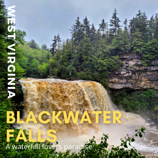 blackwater falls hiking trail