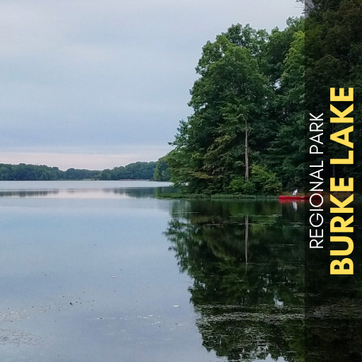 burke lake hike