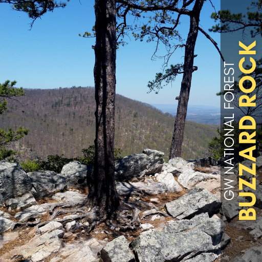 Buzzard Rock