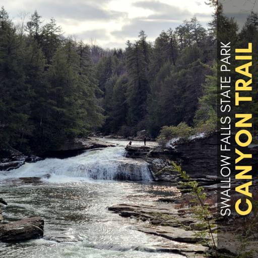 Canyon Trail in Swallow Falls State park
