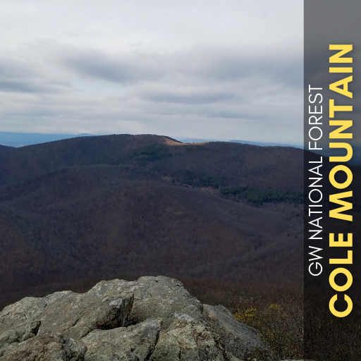 Cole Mountain Hike