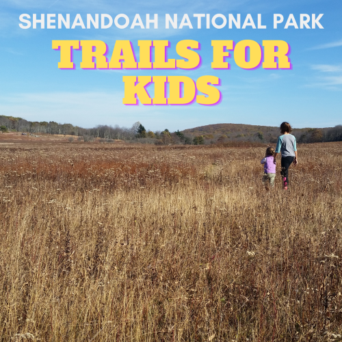 kids hikes shenandoah national park