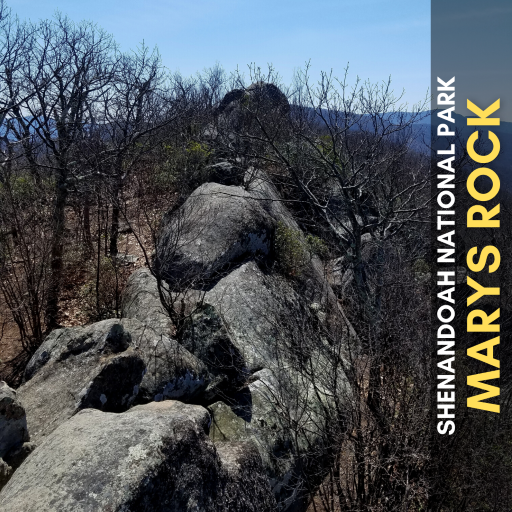 Marys Rock Shenandoah National Park