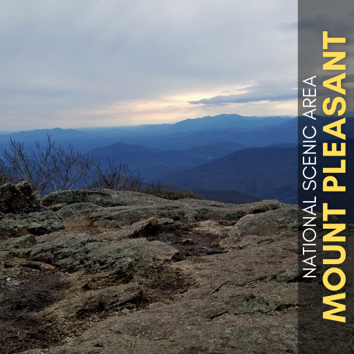 Mount Pleasant hike