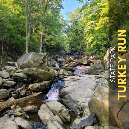 Turkey Run trail